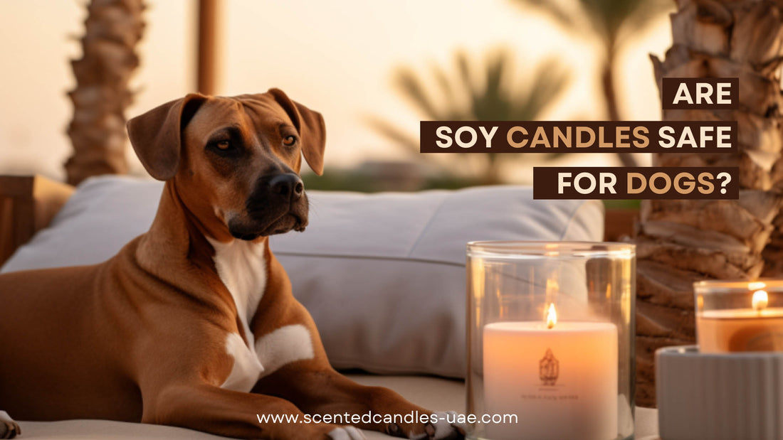 A dog peacefully resting next to a burning Happahee Soy Candle in Dubai with a palm tree in the backdrop, under the question 'Are Soy Candles Safe for Dogs' - Explore the safety and eco-friendliness of soy candles for pet owners.
