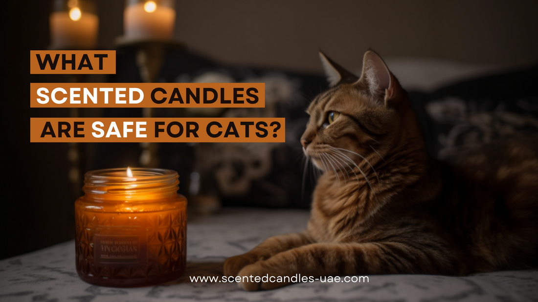 Photo showing cat in a relaxed setting with Happahee soy candle in amber glass jar, Dubai UAE