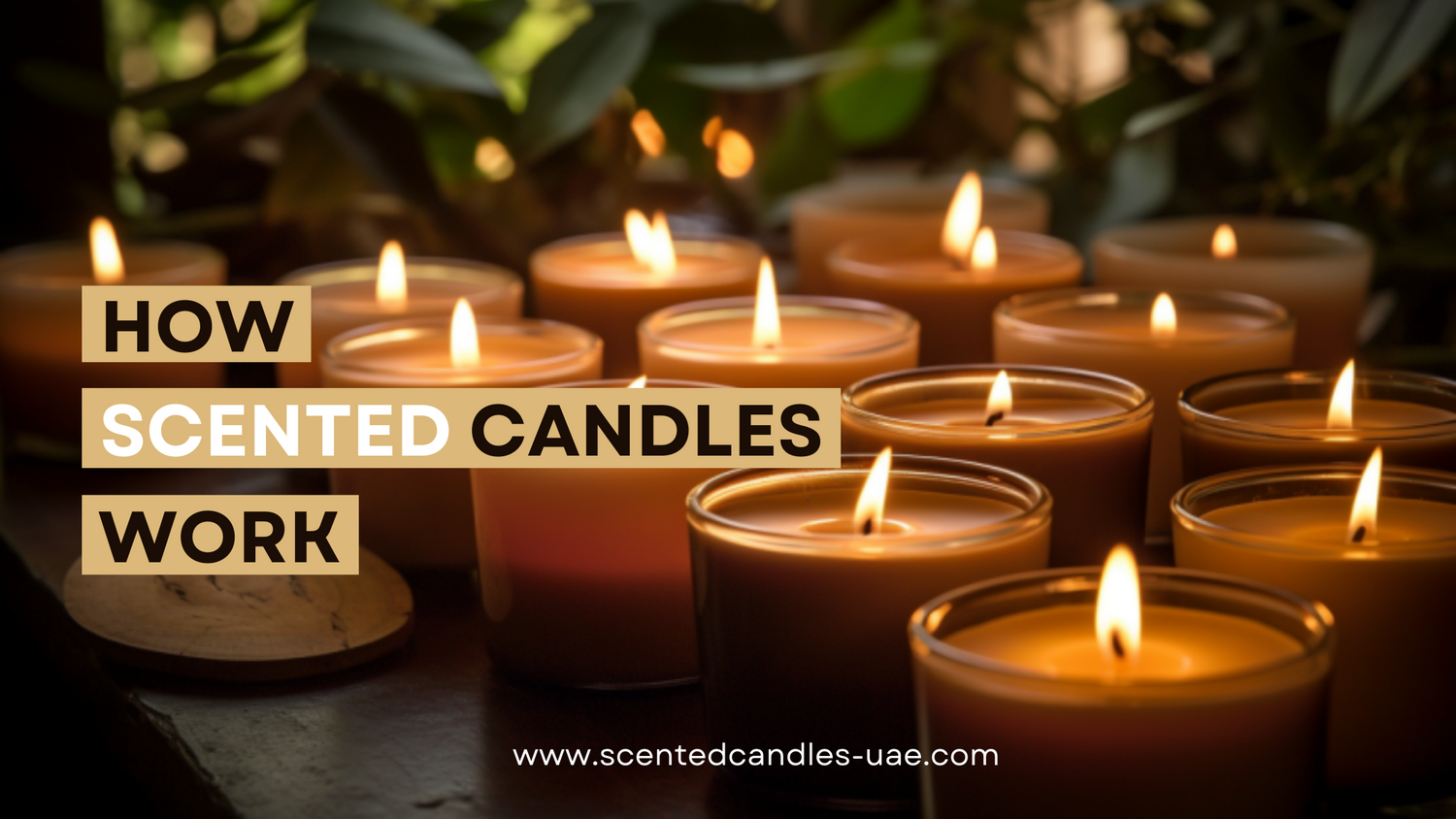 Uncover the Science Behind Scented Candles Scented Candles UAE
